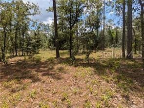 LOT25 NW Ridgewood Rd, Dunnellon, FL 34431 - photo 10