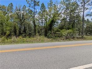 LOT25 NW Ridgewood Rd, Dunnellon, FL 34431 - photo 11