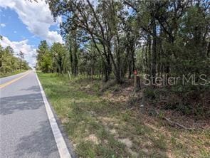 LOT25 NW Ridgewood Rd, Dunnellon, FL 34431 - photo 12