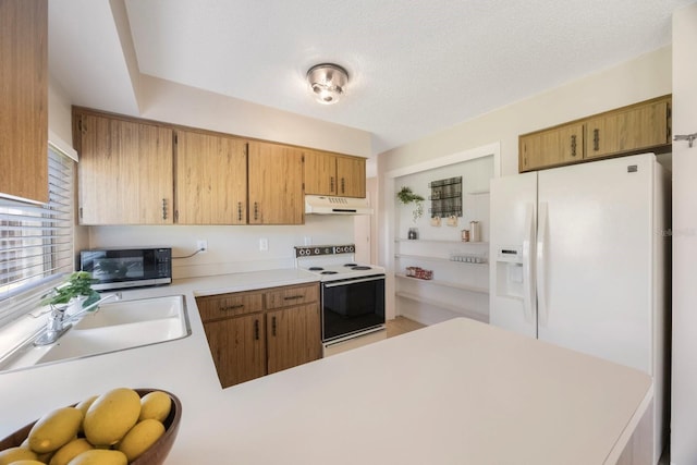 1722 W Groveleaf Ave, Palm Harbor, FL 34683 - photo 13
