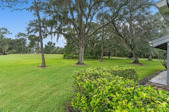 20 Iris Pl, Oldsmar, FL 34677 - photo 17