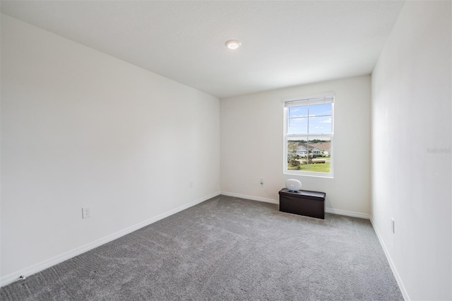 36484 Silver Maize Dr, Dade City, FL 33525 - photo 27