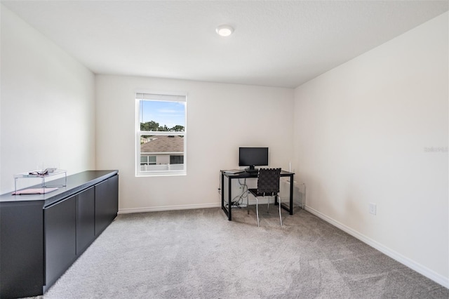36484 Silver Maize Dr, Dade City, FL 33525 - photo 29