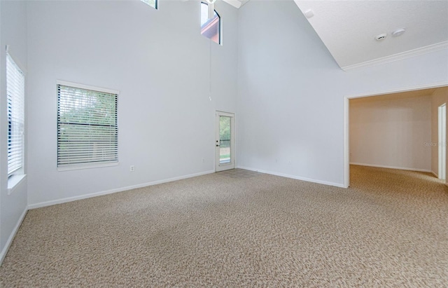 2148 Chianti Pl Unit 1310, Palm Harbor, FL 34683 - unfurnished room featuring high vaulted ceiling, carpet flooring, ornamental molding, and healthy amount of natural light