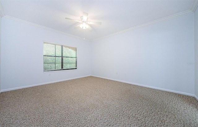 2148 Chianti Pl Unit 1310, Palm Harbor, FL 34683 - empty room with carpet floors, ornamental molding, and ceiling fan