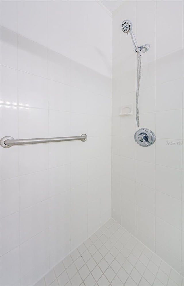 2148 Chianti Pl Unit 1310, Palm Harbor, FL 34683 - bathroom with tiled shower