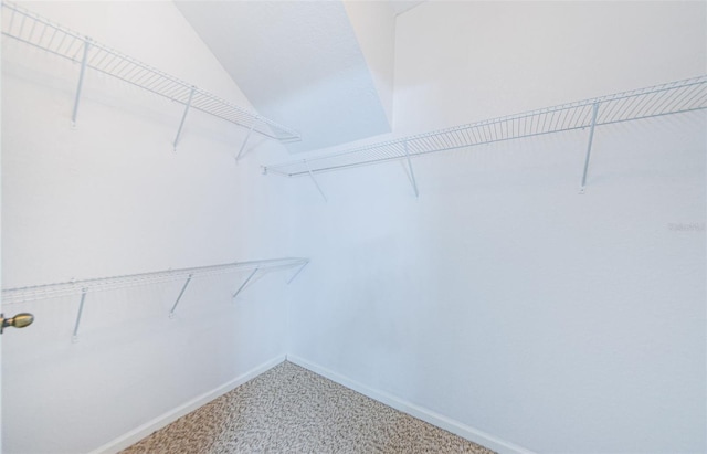 2148 Chianti Pl Unit 1310, Palm Harbor, FL 34683 - walk in closet featuring carpet flooring and lofted ceiling