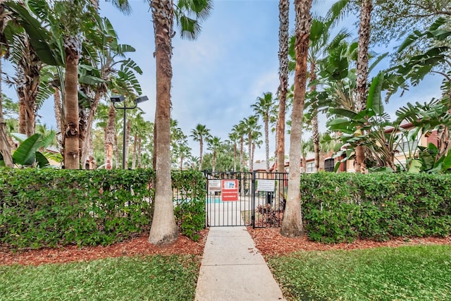 2148 Chianti Pl Unit 1310, Palm Harbor, FL 34683 - surrounding community with a gate