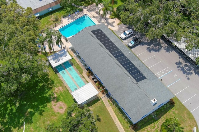 500 Glennes Ln Unit 206, Dunedin, FL 34698 - drone / aerial view of a pool