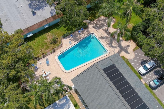 500 Glennes Ln Unit 206, Dunedin, FL 34698 - view of community pool