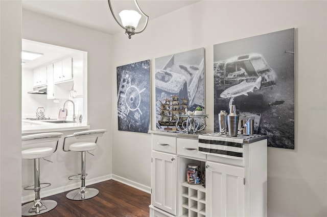 500 Glennes Ln Unit 206, Dunedin, FL 34698 - indoor wet bar with under cabinet range hood and dark wood-type flooring