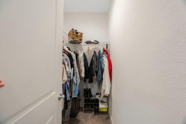 2700 4th Ave S, Saint Petersburg, FL 33712 - photo 28