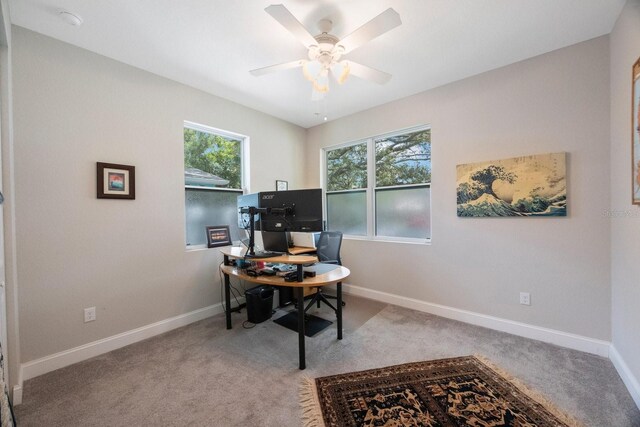 2700 4th Ave S, Saint Petersburg, FL 33712 - photo 36