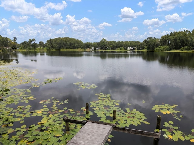 1934 Rowland Dr, Odessa, FL 33556 - photo 2