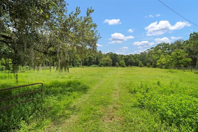 1934 Rowland Dr, Odessa, FL 33556 - photo 9