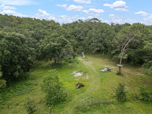 1934 Rowland Dr, Odessa, FL 33556 - photo 33