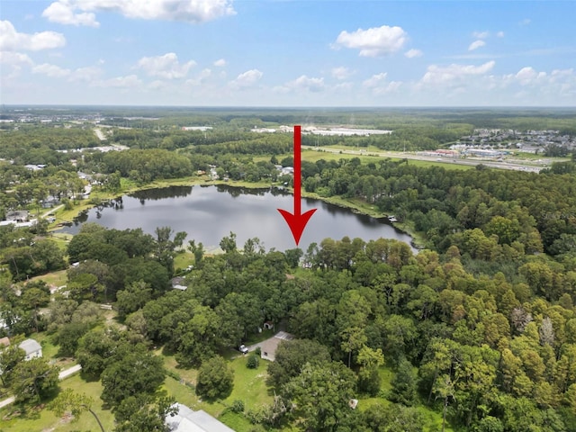1934 Rowland Dr, Odessa, FL 33556 - photo 35