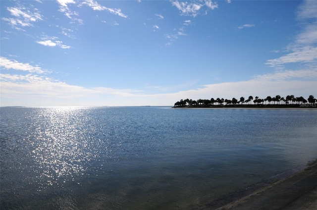 505 Whispering Oak Dr, Tarpon Springs, FL 34689 - photo 54