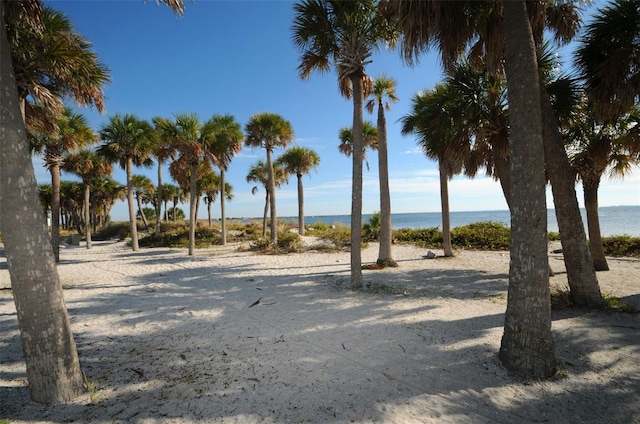 505 Whispering Oak Dr, Tarpon Springs, FL 34689 - photo 58