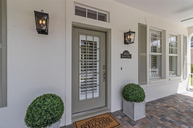 10031 Brompton Dr, Tampa, FL 33626 - photo 5