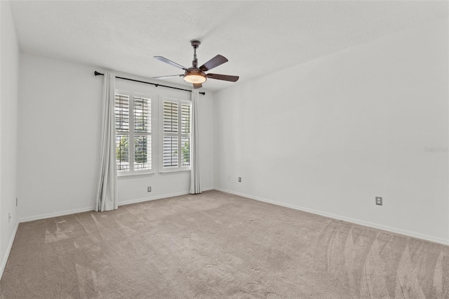 10031 Brompton Dr, Tampa, FL 33626 - photo 29