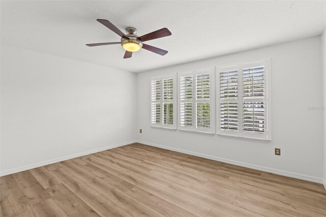10031 Brompton Dr, Tampa, FL 33626 - photo 56