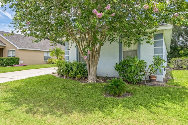 1754 Turtle Rock Dr, Lakeland, FL 33803 - view of front of home with a front lawn and stucco siding