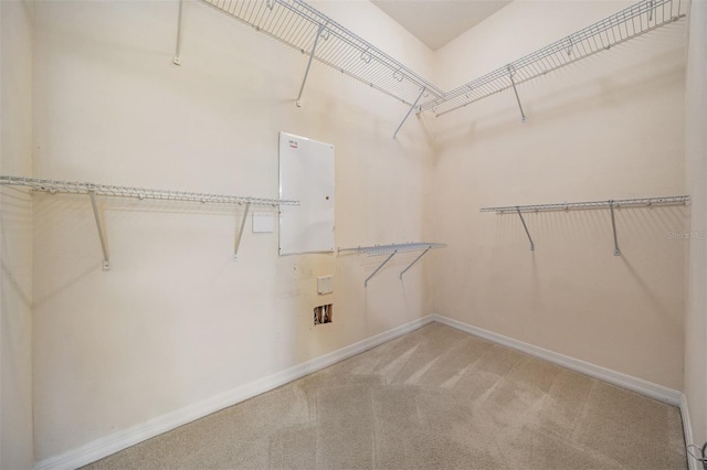 14167 Stilton St, Tampa, FL 33626 - walk in closet featuring light carpet