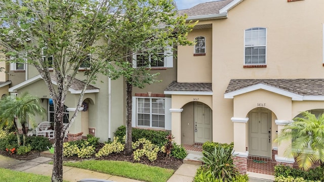 14167 Stilton St, Tampa, FL 33626 - multi unit property featuring a shingled roof and stucco siding