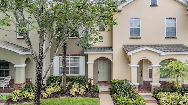 14167 Stilton St, Tampa, FL 33626 - view of property featuring a shingled roof and stucco siding