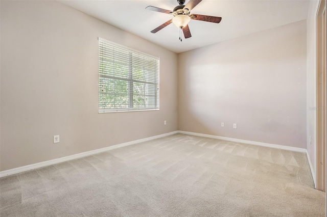 14167 Stilton St, Tampa, FL 33626 - unfurnished room with light colored carpet and ceiling fan