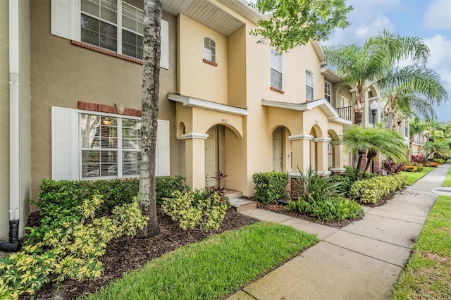 14167 Stilton St, Tampa, FL 33626 - view of front of house featuring stucco siding