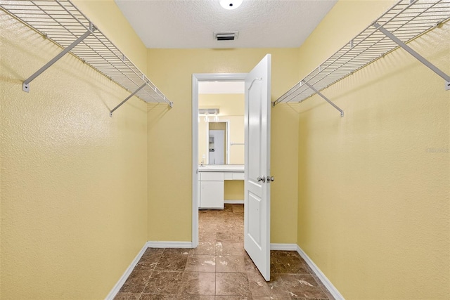 7513 Savannah Ln, Tampa, FL 33637 - photo 11