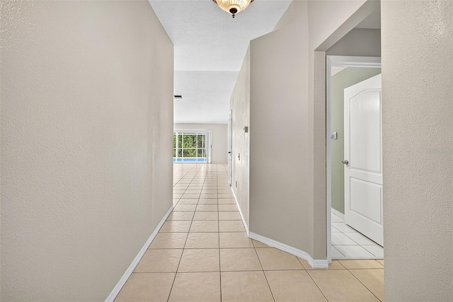 7513 Savannah Ln, Tampa, FL 33637 - photo 16