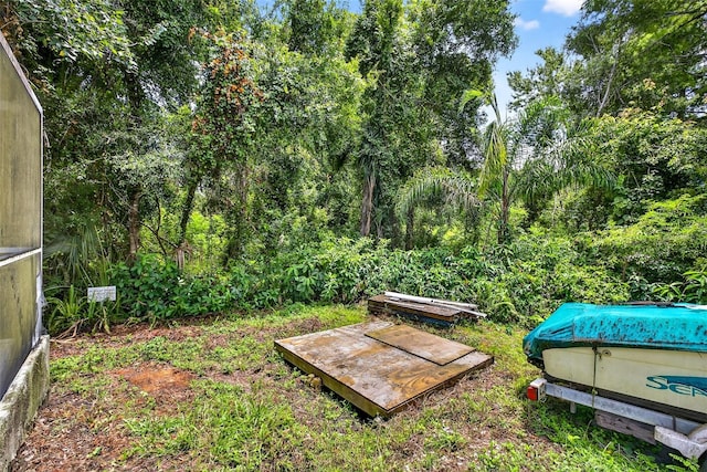7513 Savannah Ln, Tampa, FL 33637 - photo 24