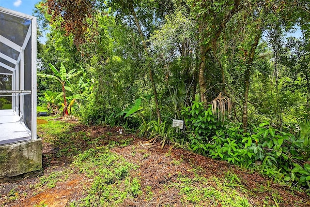 7513 Savannah Ln, Tampa, FL 33637 - photo 25
