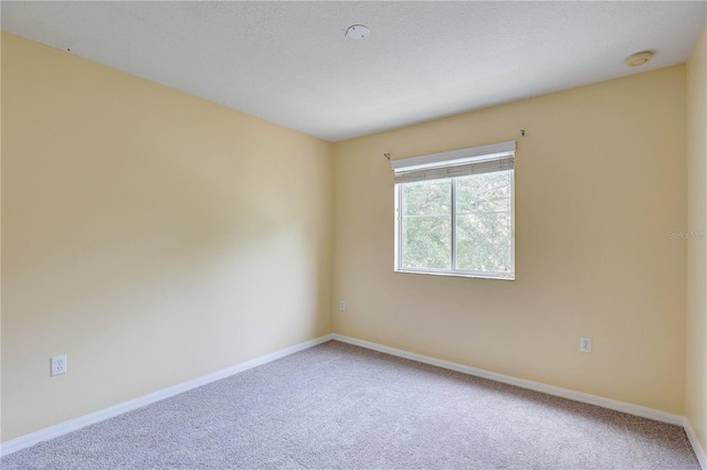 4591 Limerick Dr, Tampa, FL 33610 - photo 22