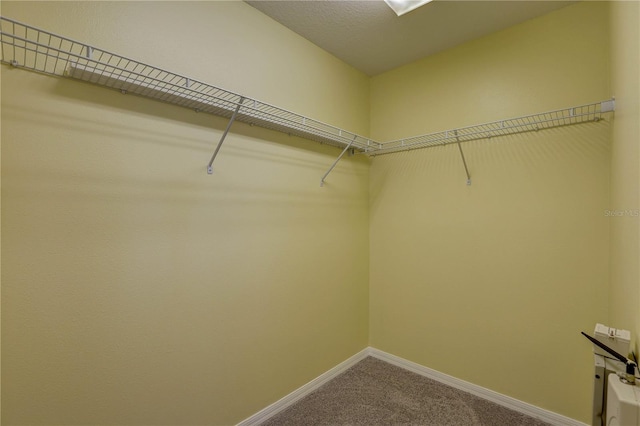 4591 Limerick Dr, Tampa, FL 33610 - photo 26