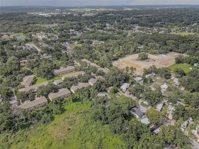 4591 Limerick Dr, Tampa, FL 33610 - photo 47
