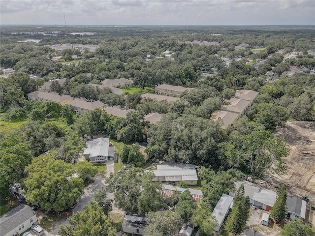 4591 Limerick Dr, Tampa, FL 33610 - photo 50