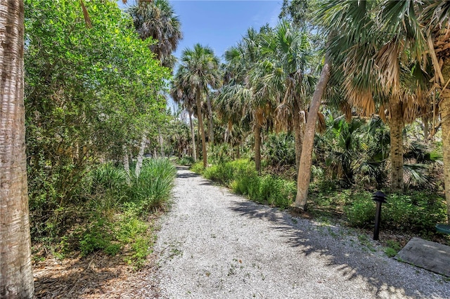 6024 Anchorage Way S, Saint Petersburg, FL 33712 - photo 38