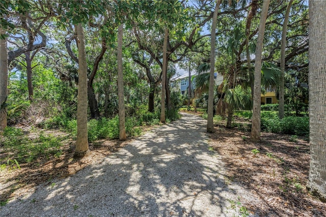 6024 Anchorage Way S, Saint Petersburg, FL 33712 - photo 39
