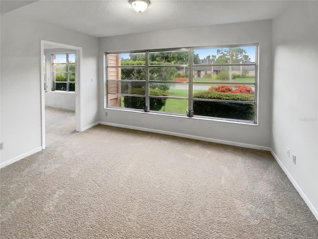 8434 Brentwood Rd Unit 0, Seminole, FL 33777 - photo 13