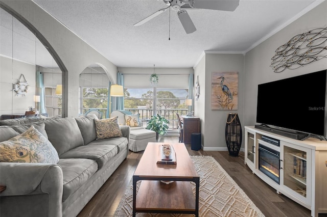 2700 Bayshore Blvd Unit 2312, Dunedin, FL 34698 - living room featuring a ceiling fan, dark wood finished floors, a textured ceiling, and ornamental molding