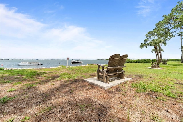 2700 Bayshore Blvd Unit 2312, Dunedin, FL 34698 - view of yard with a water view