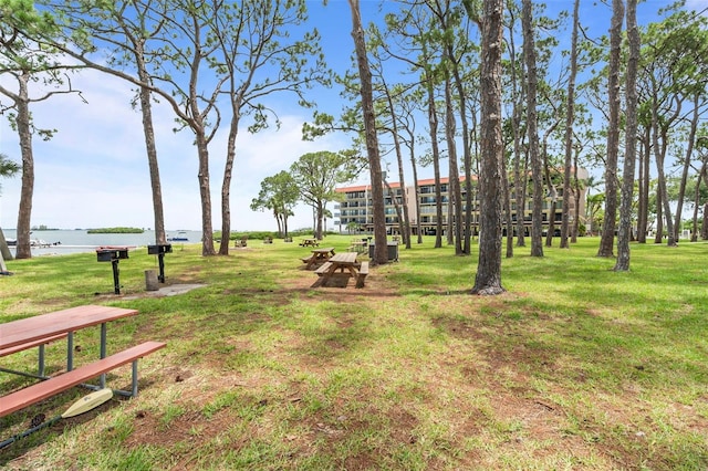 2700 Bayshore Blvd Unit 2312, Dunedin, FL 34698 - view of grassy yard with a water view