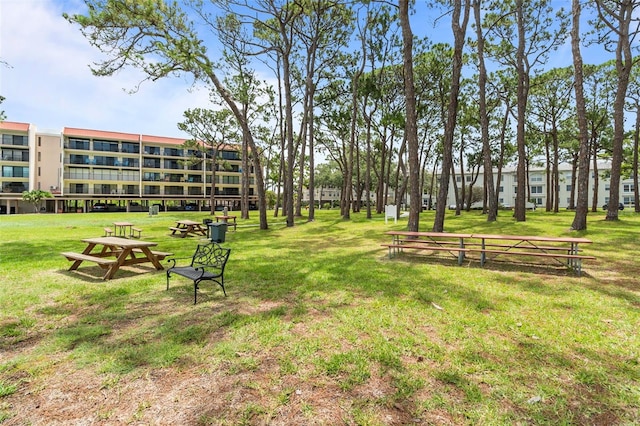 2700 Bayshore Blvd Unit 2312, Dunedin, FL 34698 - view of community