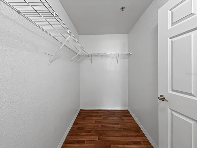 8517 Sea Harbour Ln Unit 103, Temple Terrace, FL 33637 - photo 17