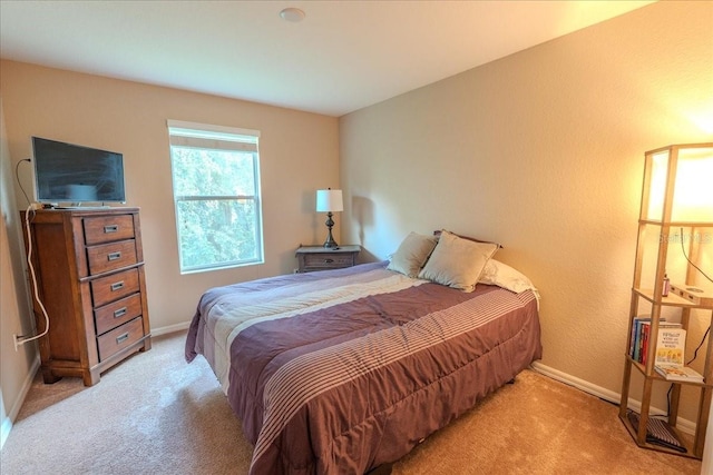 27543 Desert Willow Way, Wesley Chapel, FL 33544 - photo 12