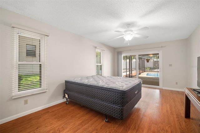 15 Seedling Dr, Safety Harbor, FL 34695 - photo 20